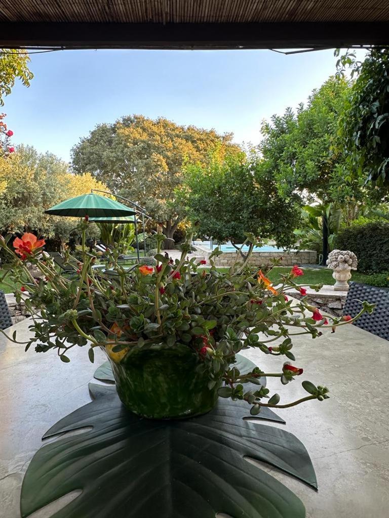 Oasi Di Campagna Hotel โมดิกา ภายนอก รูปภาพ